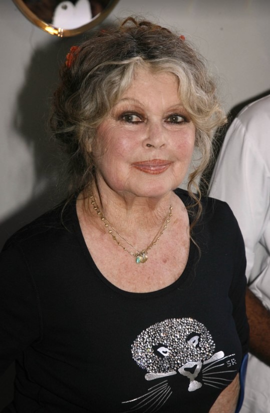 Conversación amistosa