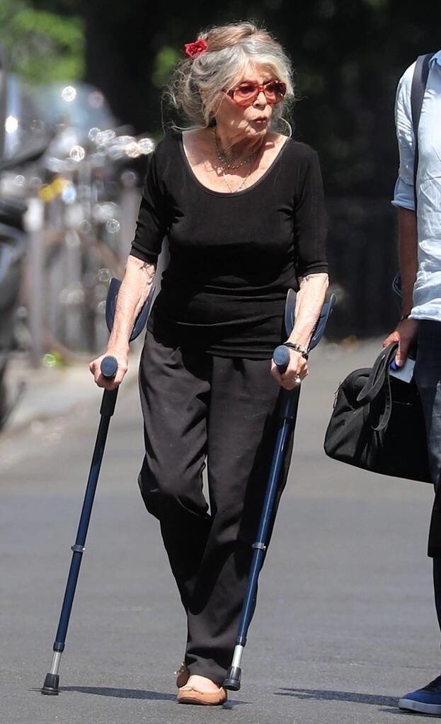 Bardot en el Elíseo